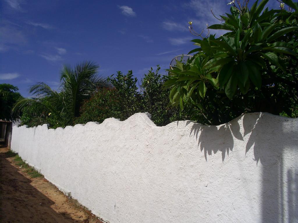 Pousada Da Lucinha Canoa Quebrada Buitenkant foto